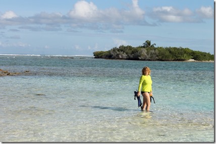 Canareef - snorkeling 3