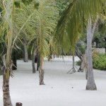 Cocoa-Island-inner-island.jpg