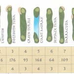 Shangri-La-Villingili-golf-course-card.jpg