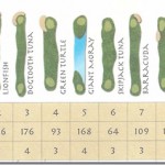 Shangri-La-Villingili-golf-course-card_thumb.jpg