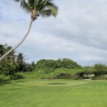 Shangri-La-Villingili-golf-course-hole-5-green.jpg