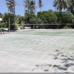 Velaa-astro-turf-badminton-court_thumb.jpg