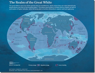 Realm of the Great White Shark