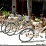 One-and-Only-Reethi-Rah-bicycle-homing-service-Purple-Passport_thumb.jpg