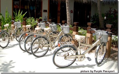 One and Only Reethi Rah bicycle homing service Purple Passport