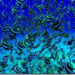 Maldives-Moorish-idol-tapestry_thumb.jpg