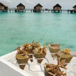 Shangri-La-Villingili-reef-scaping-1.jpg
