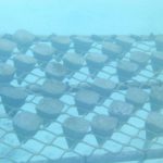 Shangri-La-Villingili-reefscaping-3.jpg