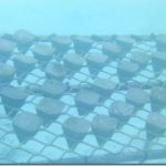 Shangri-La-Villingili-reefscaping-3_thumb.jpg