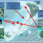 Shangri-La-Villingili-reefscaping-8_thumb.jpg