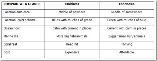 Maldives v Indonesia