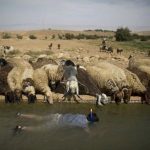 Snorkeling-West-Bank.jpg