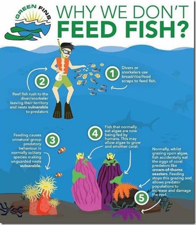 Why We Dont Feed the Fish