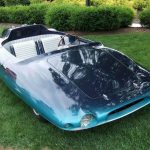 Havent-Seen-whale-shark-car.jpg