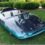 Havent-Seen-whale-shark-car_thumb.jpg