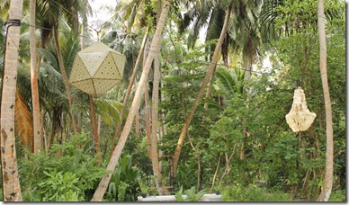 Amilla Fushi - garden 1