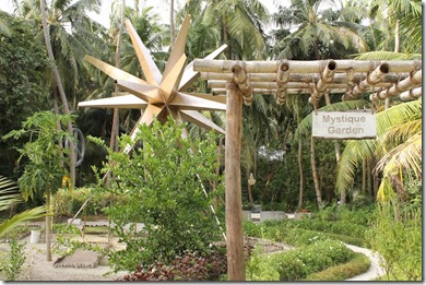 Amilla Fushi - garden 2