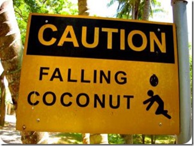 Falling coconut warning