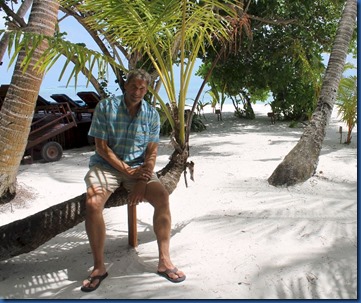 Medhufushi - palm picture perch