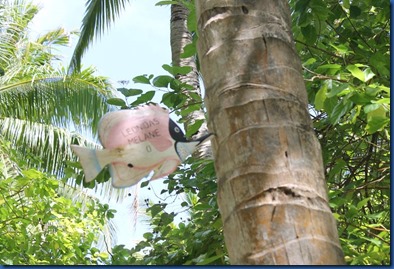 Rihiveli Beach - fish recognition