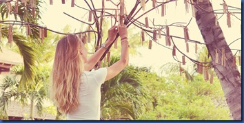 LUX South Ari Atoll - Tree of Wishes