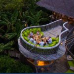 Soneva-Fushi-elevation_thumb.jpg