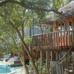 Soneva-villa-treehouse.jpg