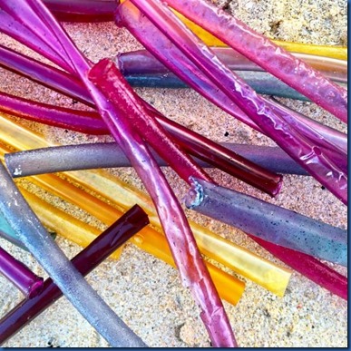 Carpe Diem - edible straws