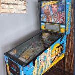 Finolhu-pin-ball_thumb.jpg