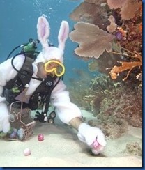 Havent Seen - Underwater Easter Egg Hunt