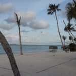 LUX-North-Male-Atoll-palm-tree-vollyball.jpg