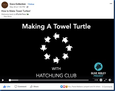 Coco Collection - turtle making video