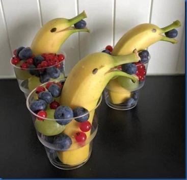 Havent Seen Yet - dolphine fruit cup