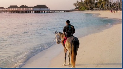 Siyam World - horse riding