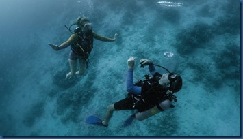 Amilla - accessible diving