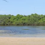 Soneva-Jani-mangrove-lakes-1.jpg