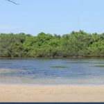 Soneva-Jani-mangrove-lakes-1_thumb.jpg