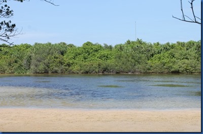 Soneva Jani - mangrove lakes 1