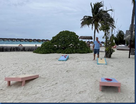 The Standard- cornhole