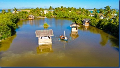 South Palm - floating spa 1