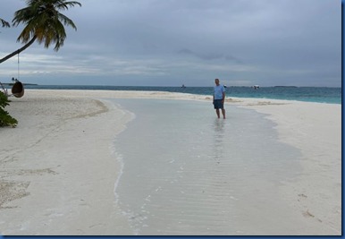 The Standard - beach pond