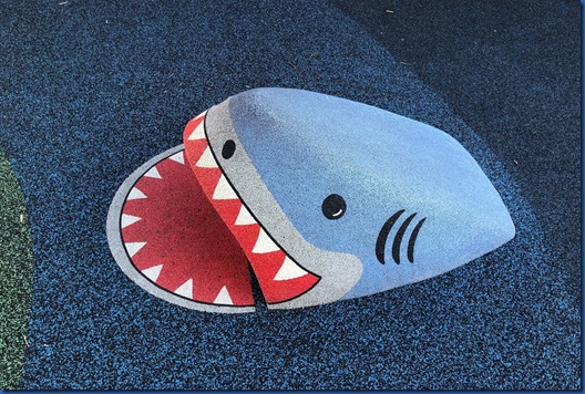 Havent Seen - playground shark