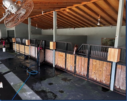 Siyam World - horse facilities 1