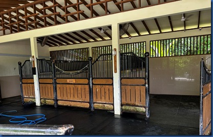 Siyam World - horse facilities 2