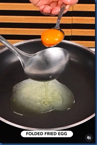 Havent Seen Yet - folded fried egg Havent Seen Yet - folded fried egg