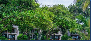 Ifuru - Island Reserve