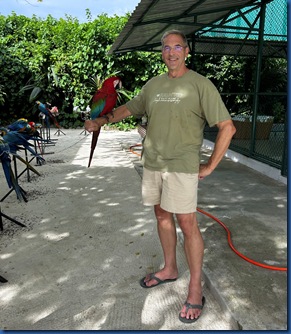 Siyam World - macaws 2