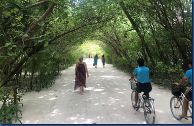 Sun Siyam Olhuveli - wide canopy