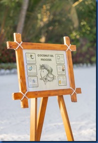 Siyam - coconut oil making 2