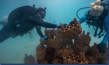 Anantara Dhigu - 3D printed reef